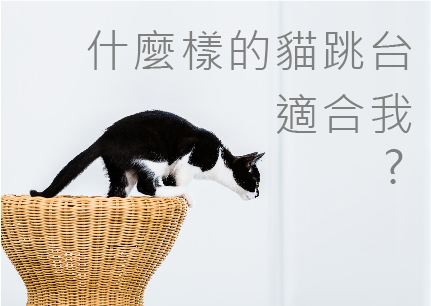 【貓跳台推薦】貓跳台百百款，我該怎麼挑選適合的?